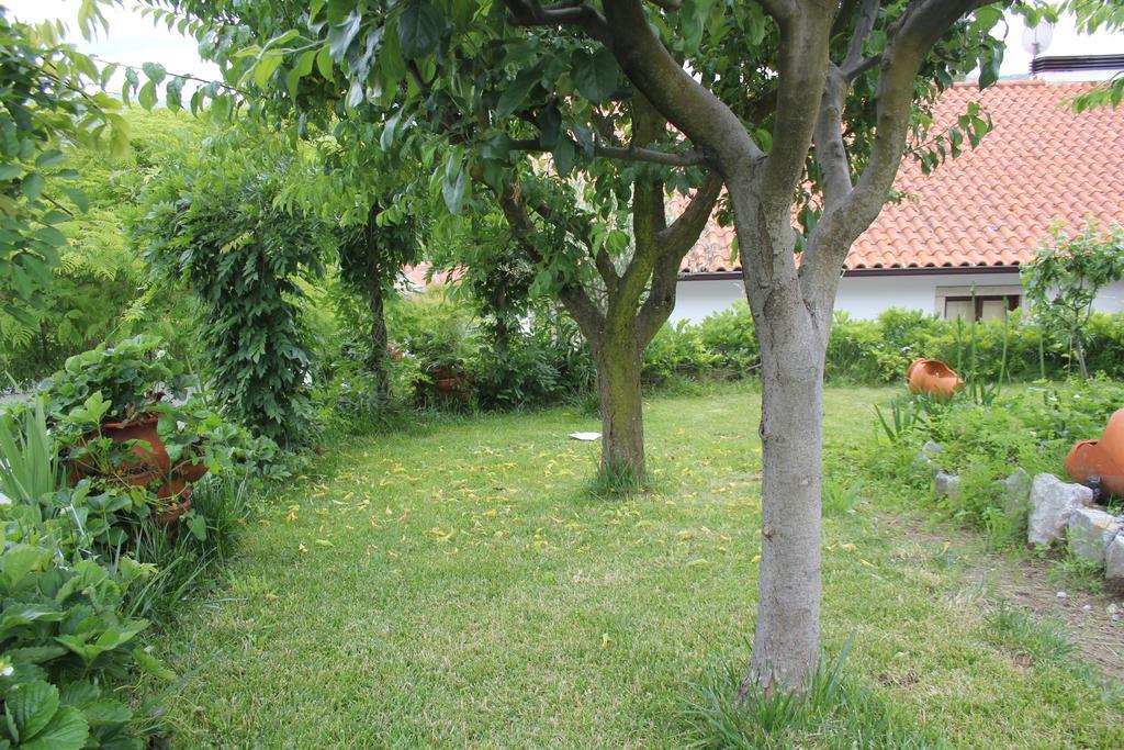 Willa Casa De Tapadeiro Resende Zewnętrze zdjęcie